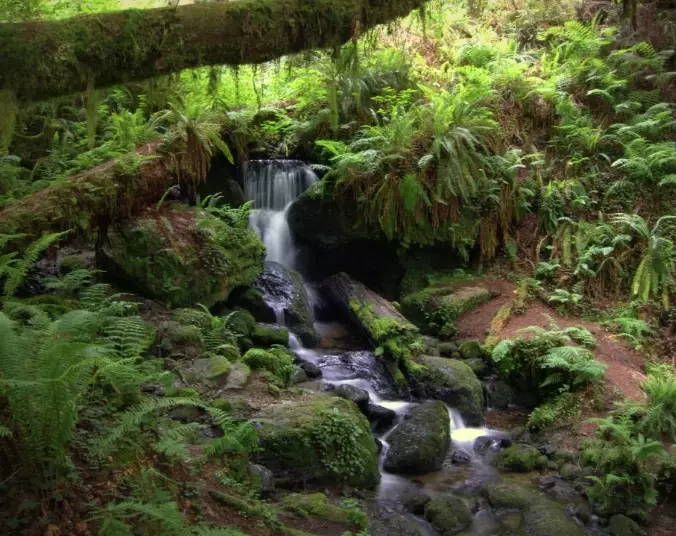 Trillium Falls hike Trillium Falls hike