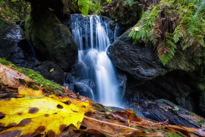 Trillium Falls hike Trillium Falls hike