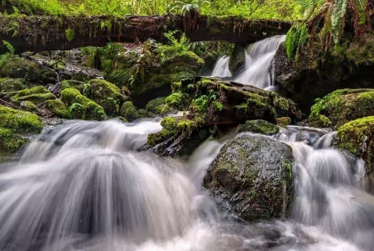 is Trillium Falls worth visiting is Trillium Falls worth visiting
