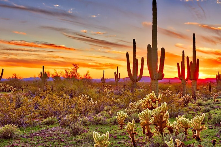 best desert national parks