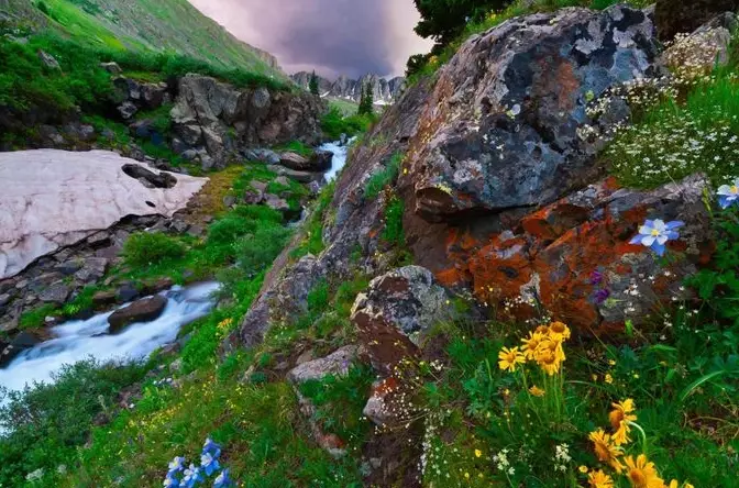 stratigraphic column oil and gas