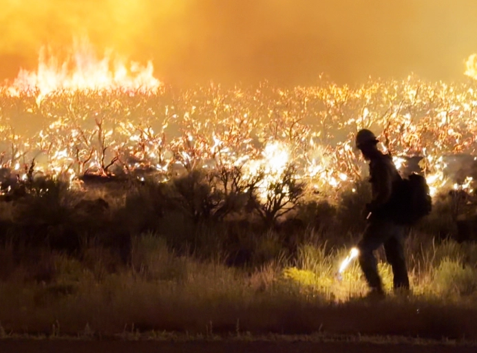 White Rock Mountains slot canyon White Rock Mountains slot canyon