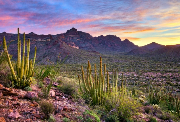 Tonto National Forest