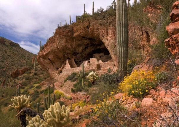 things to do in Tonto National Forest
