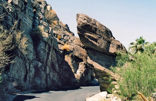 Palm Canyon hike Palm Canyon hike