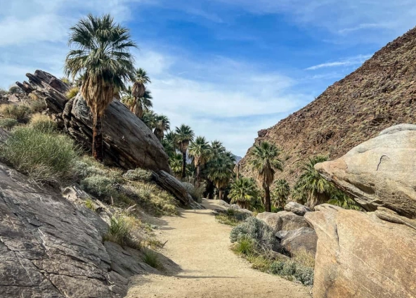 Indian Canyons hiking Indian Canyons hiking