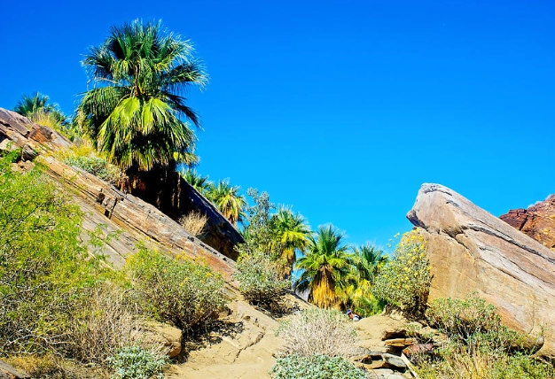 Indian Canyons hiking Indian Canyons hiking