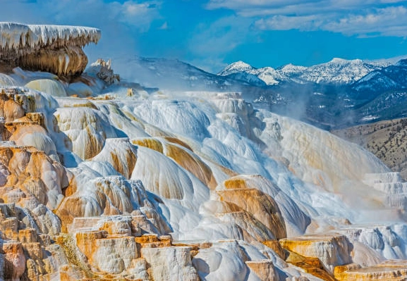Canary Spring Yellowstone Canary Spring Yellowstone