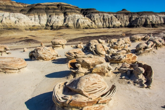 San Juan Basin road trip San Juan Basin road trip