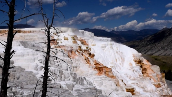 Canary Spring hike Canary Spring hike
