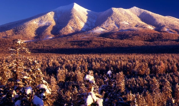 hiking Humphreys Peak hiking Humphreys Peak
