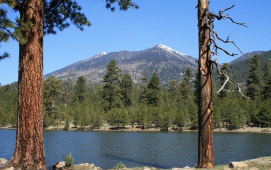 San Francisco Peaks Arizona San Francisco Peaks Arizona