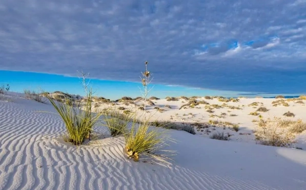 best time to visit carlsbad caverns