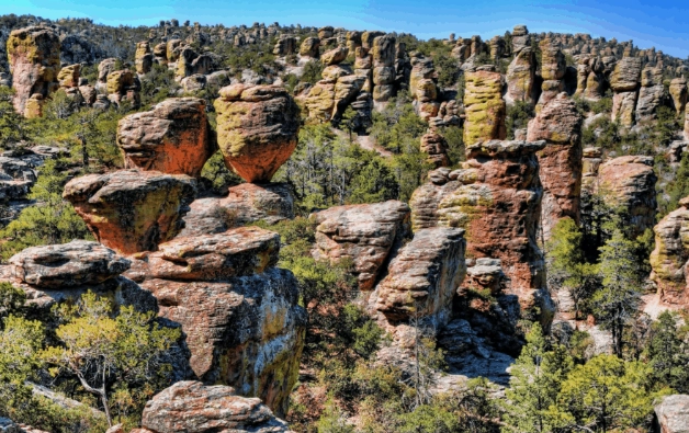 best time to visit carlsbad caverns
