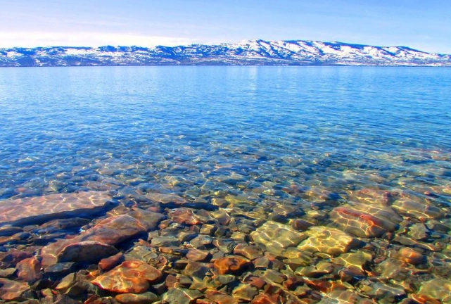 Bear Lake raspberry shakes Bear Lake raspberry shakes