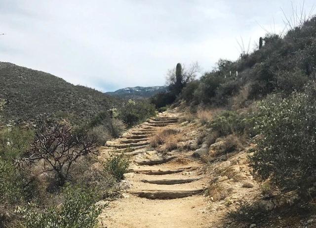 Phoenix area trails Phoenix area trails