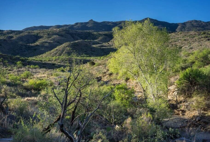 Douglas Spring Trailhead: Your Ultimate Guide to Hiking in the Superstition Mountains