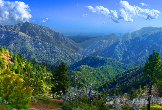 Angeles National Forest