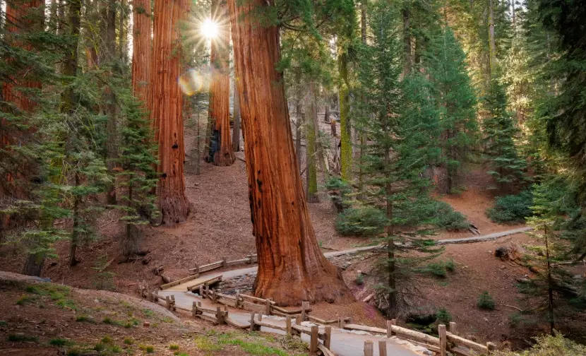 best time to visit sequoia national park