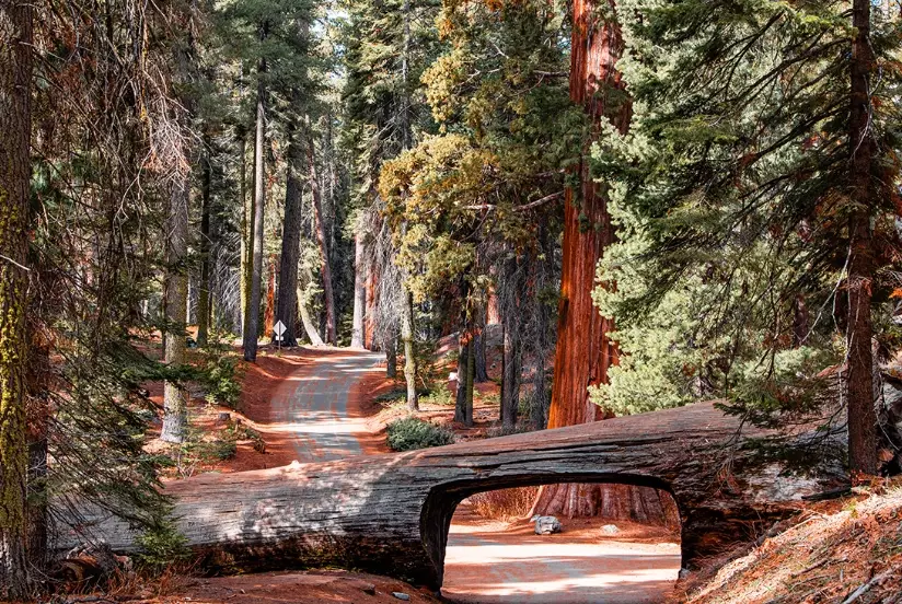 best time to visit sequoia national park