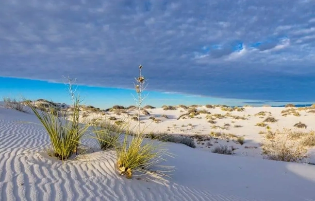 New Mexico parks guide New Mexico parks guide