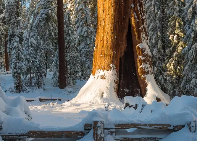Sequoia National Park weather