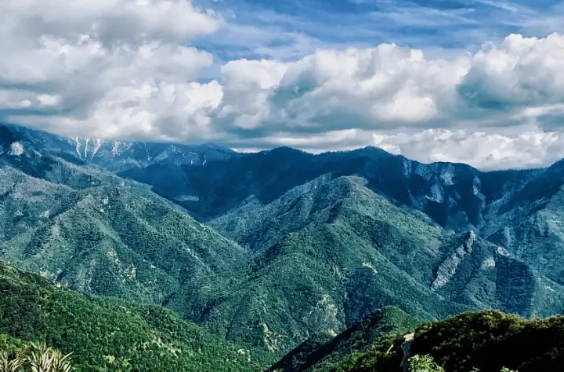 best time to visit Sequoia