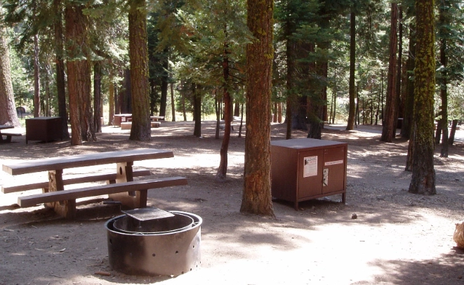 Sequoia National Park camping reservations