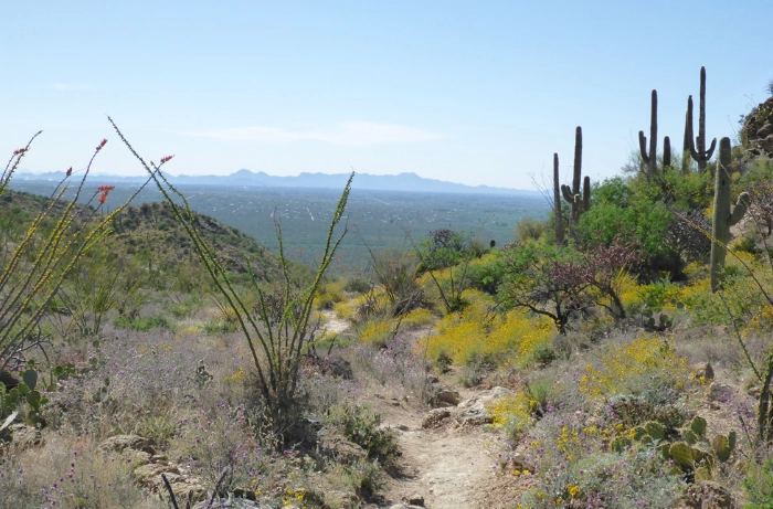 backpacking permits Tucson