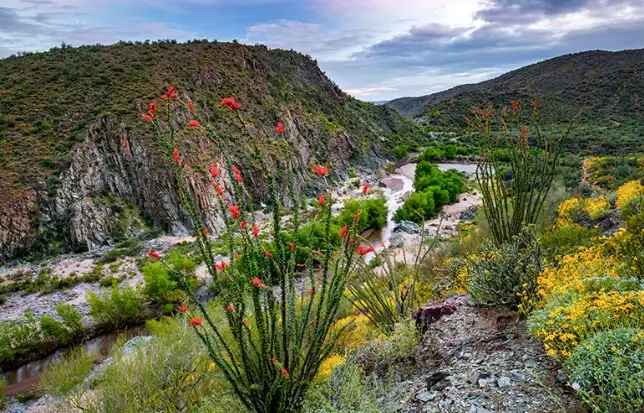 What is the population of Black Canyon City Arizona?