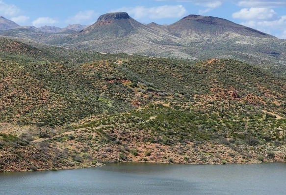 where is San Carlos Lake where is San Carlos Lake