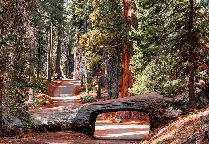 major cities near Sequoia National Park