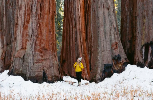 Sequoia winter activities Sequoia winter activities