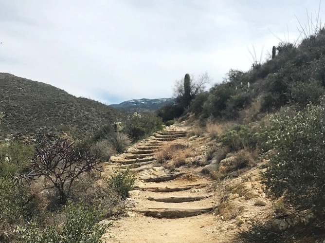 hiking in Saguaro National Park
