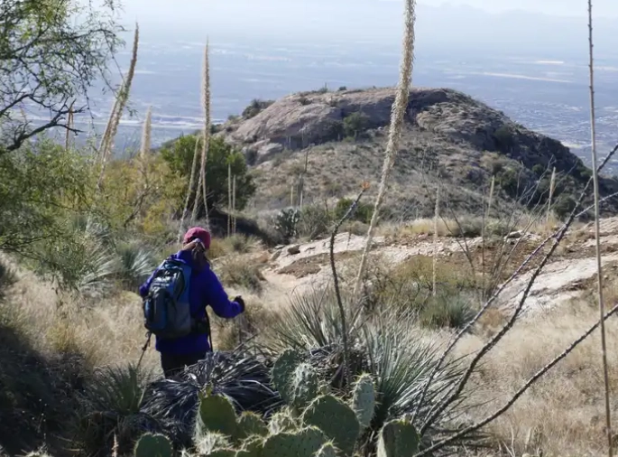 Douglas Spring Trailhead camping