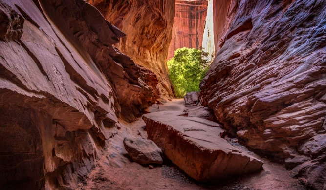 Antelope Canyon tours