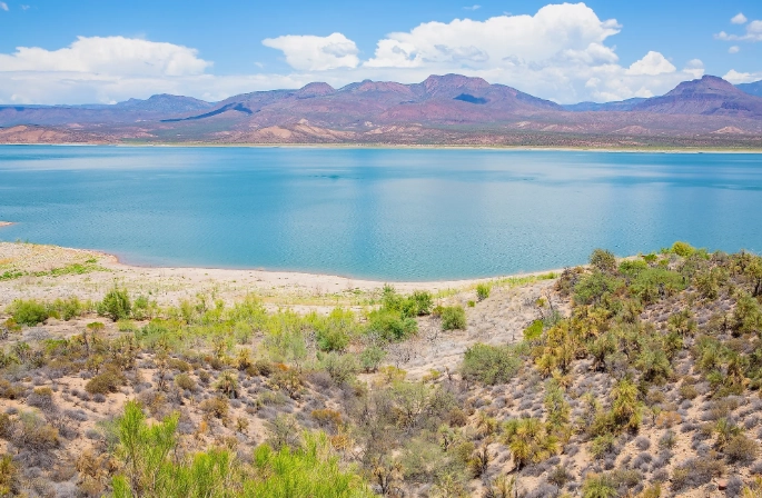 things to do at roosevelt lake