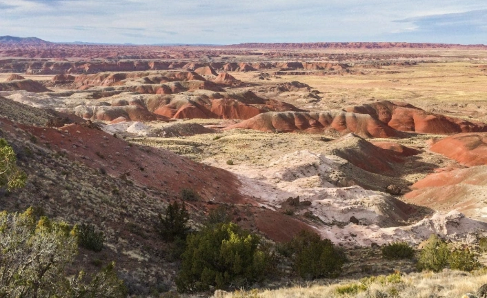 Petrified Forest National Park camping