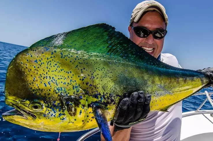 Arizona bass fishing
