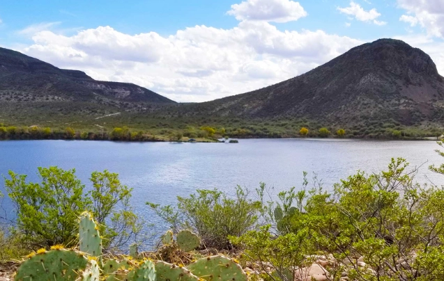 San Carlos Lake fish species