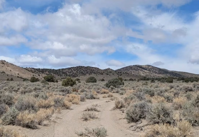 Saguaro National Park hiking Saguaro National Park hiking