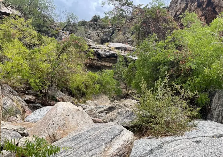 Great Smoky Mountains waterfall trails Great Smoky Mountains waterfall trails