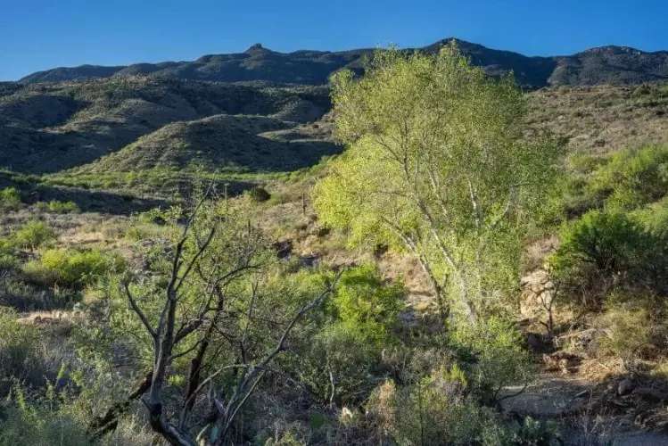 Douglas Spring Trailhead difficulty Douglas Spring Trailhead difficulty