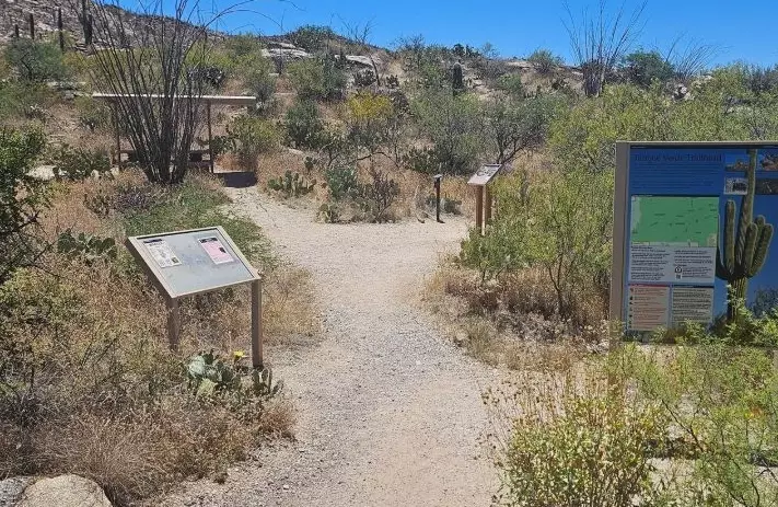 Saguaro National Park hiking Saguaro National Park hiking