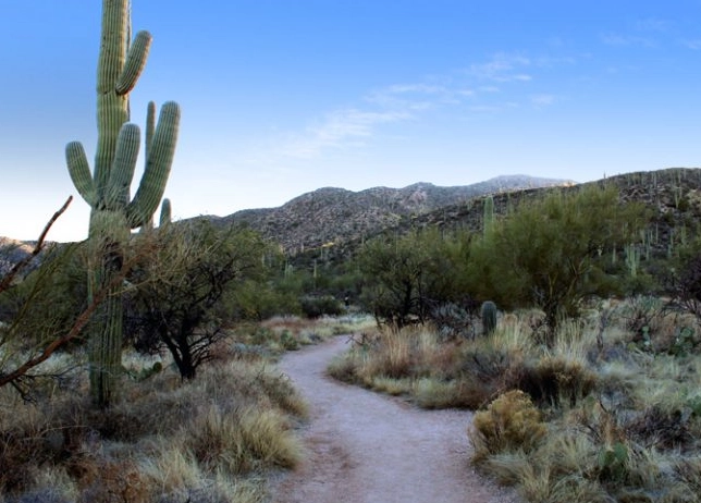 Great Smoky Mountains waterfall trails Great Smoky Mountains waterfall trails