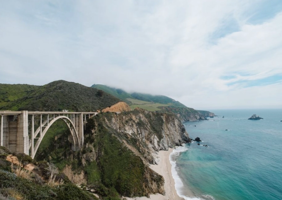 Northern California redwoods
