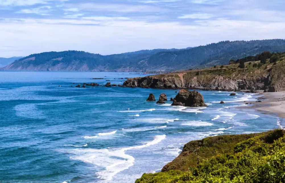 Northern California redwoods