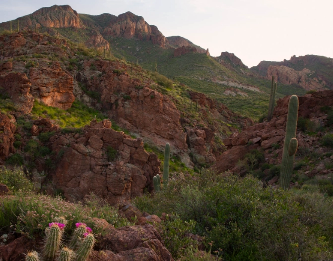 Tonto National Forest Arizona map