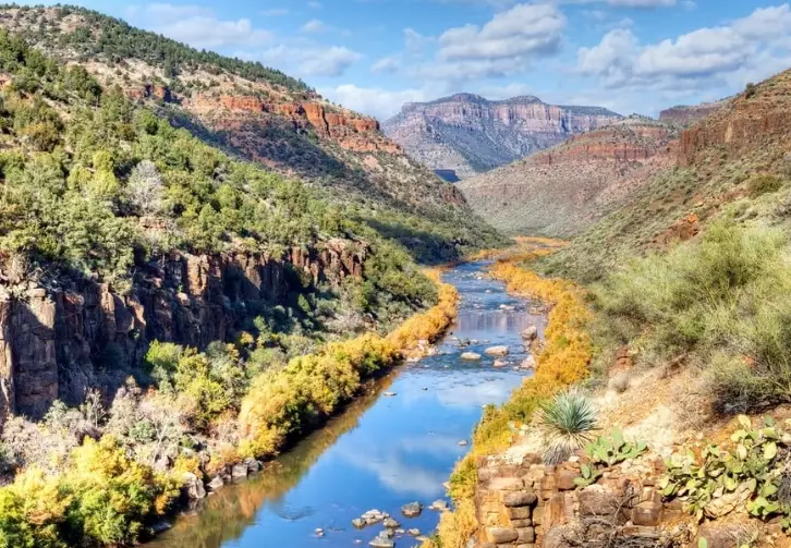 Where is Tonto National Forest