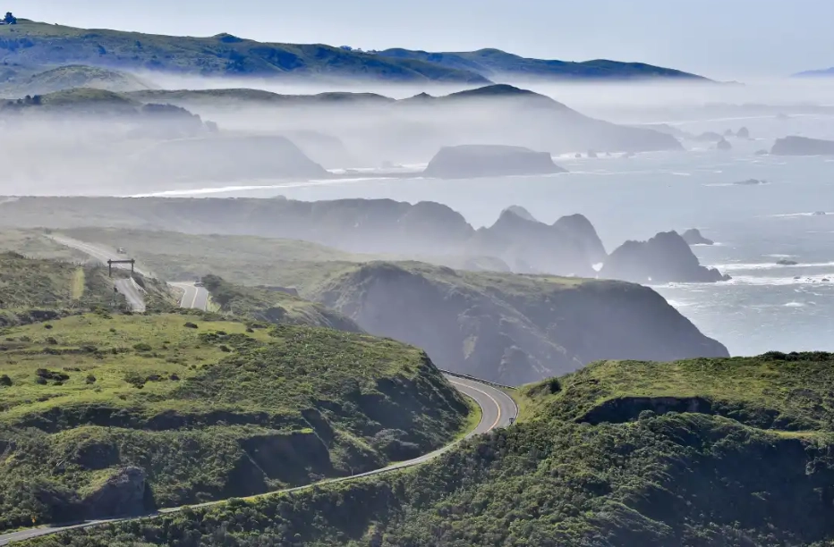 Northern California redwoods